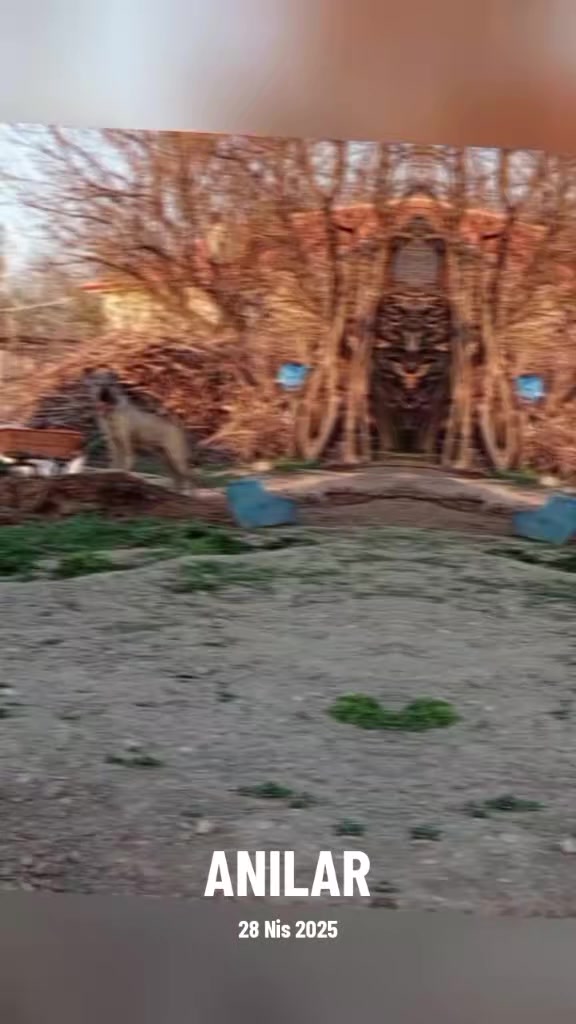 @𝙉𝘼𝙎𝙐𝙃 𝘕𝘙𝘚
