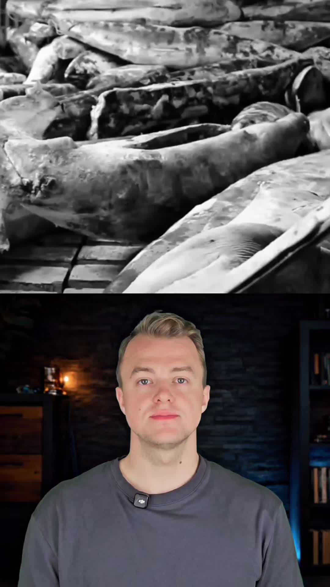 @Temné stránky světa