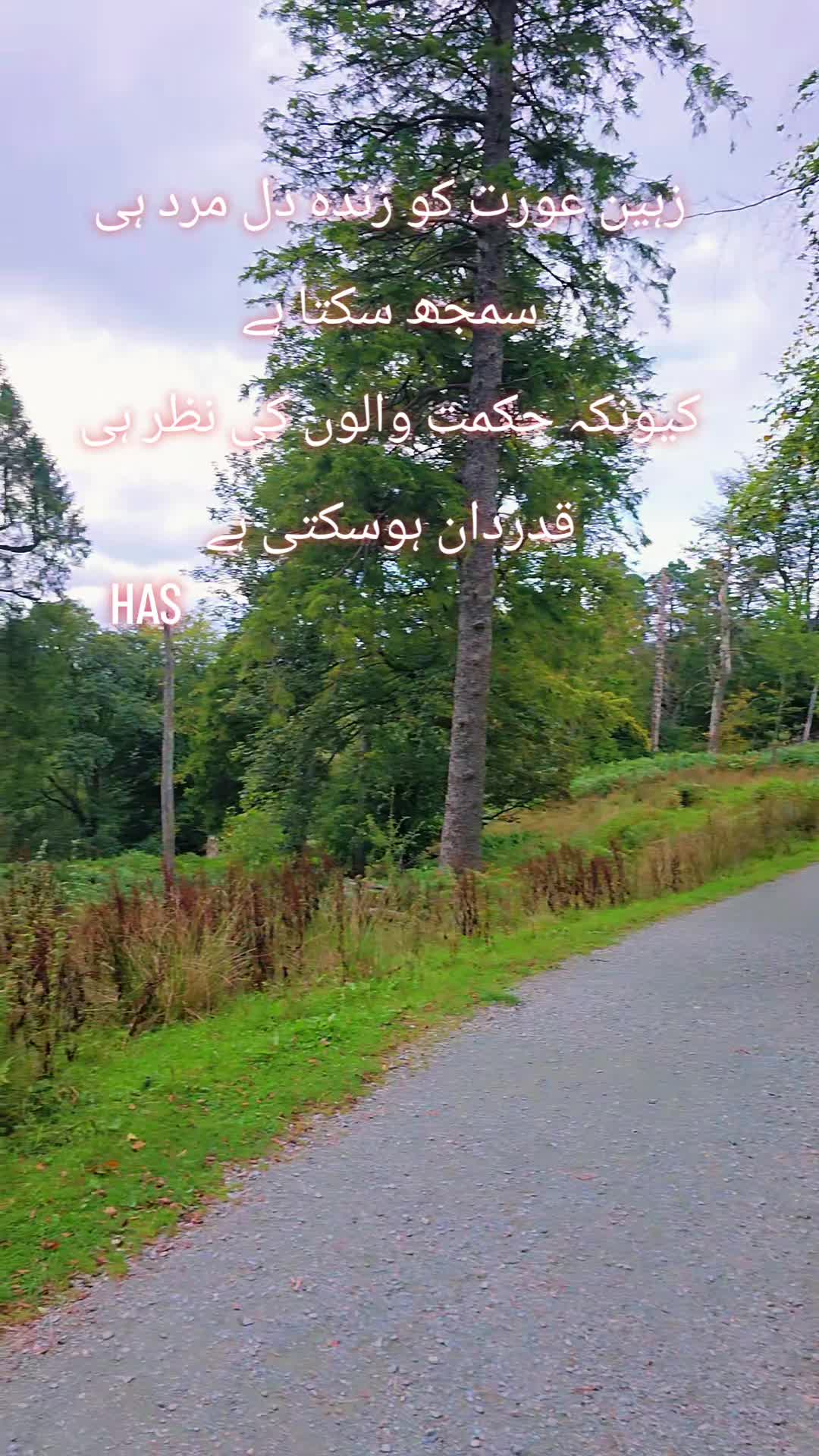 @❤️ HAS