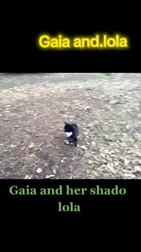 @Gaia's world