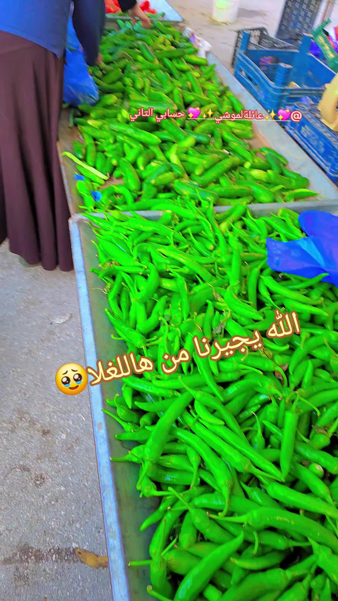 @🌸🌱عائلة لموشي lmosh🌱🌸