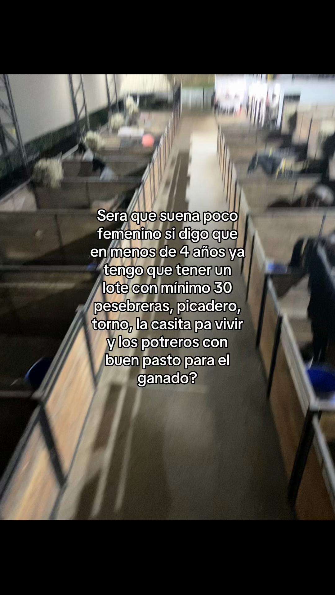 @04_saritag