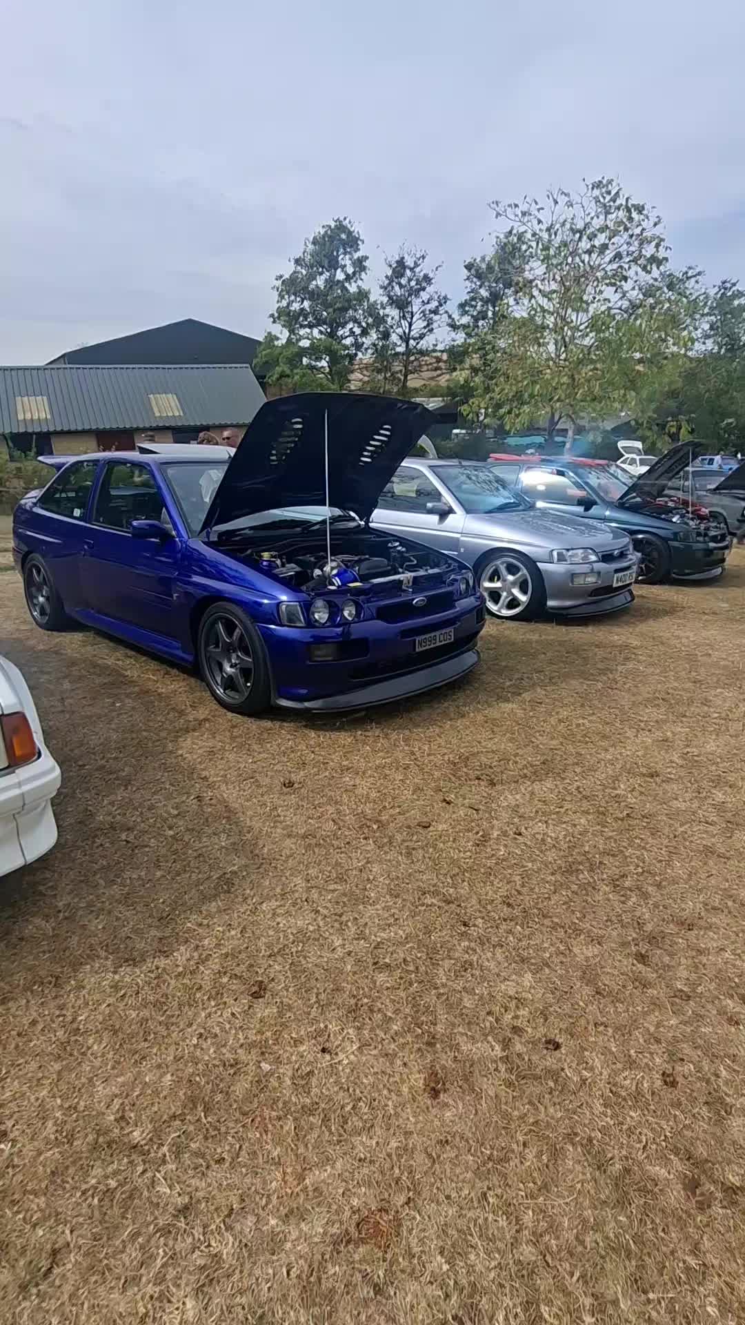 @xflowdan