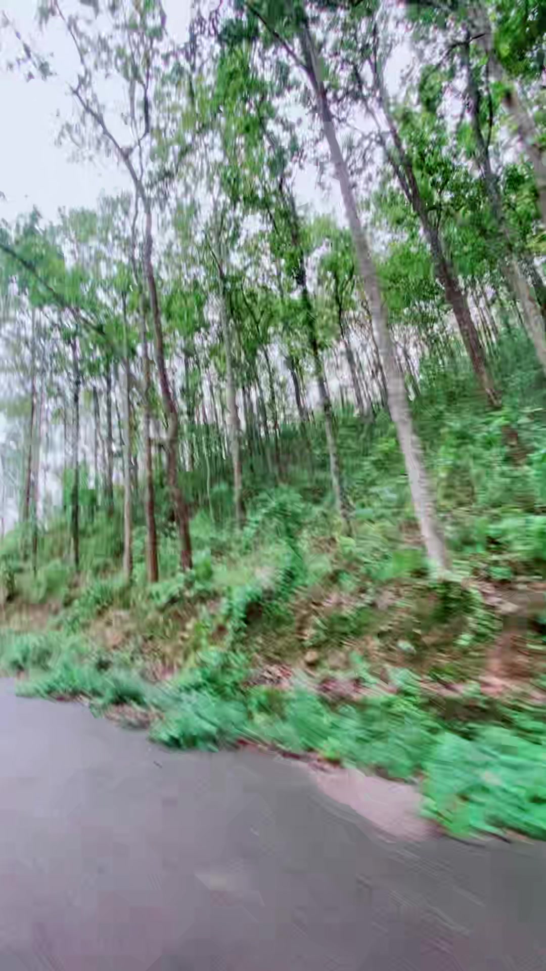 @yamunadevi banjade