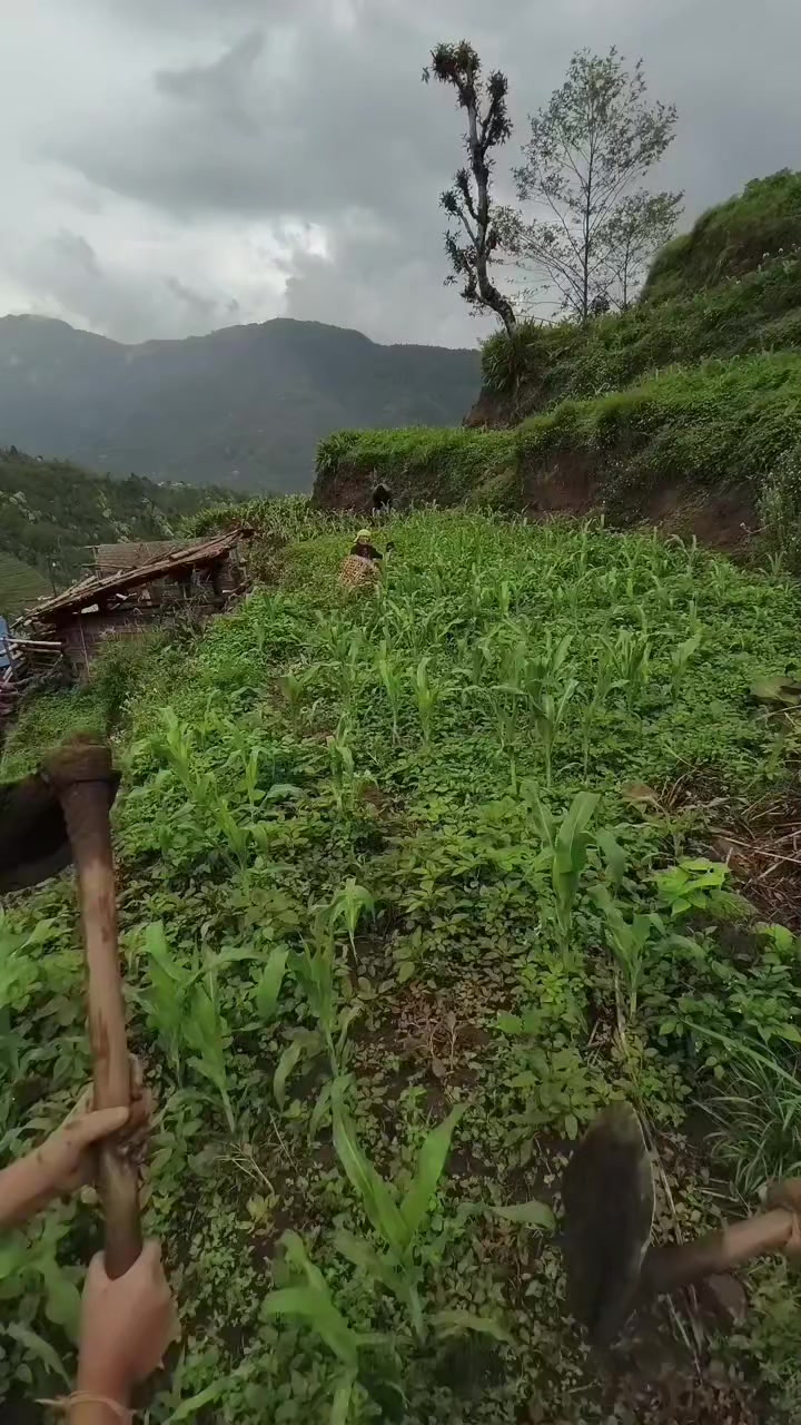 @चाम्लिङ राई  🇳🇵🇳🇵💐💐🥀🥀