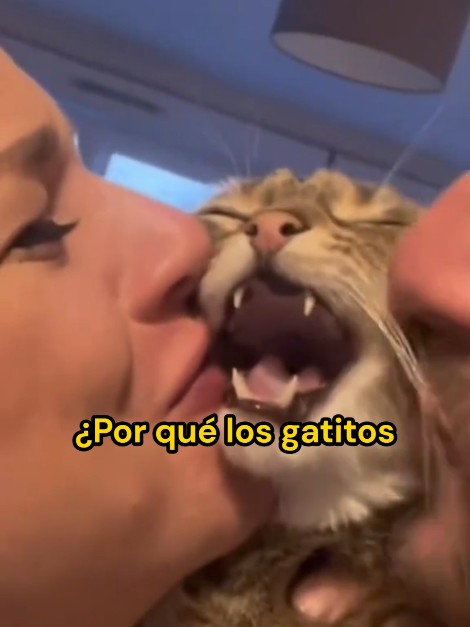 @Mi Mascota Feliz