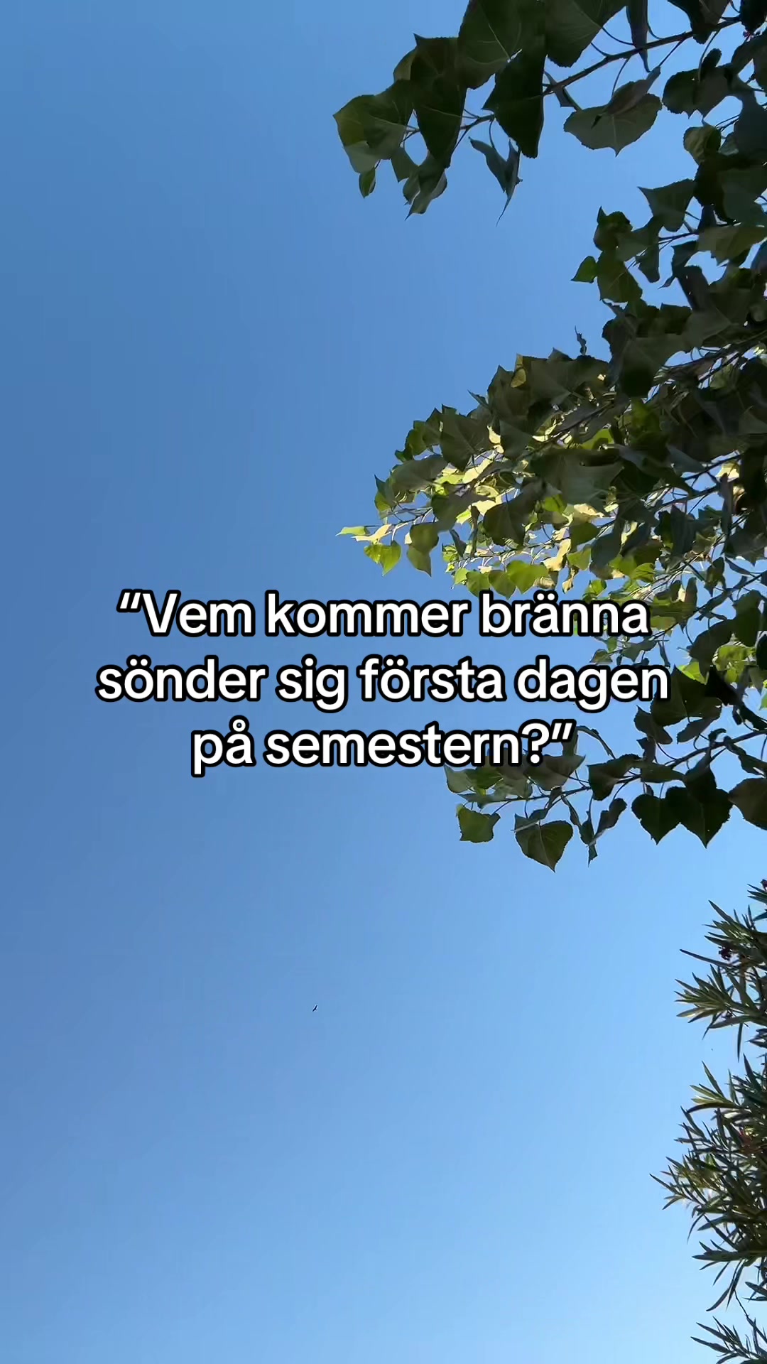 @Natta