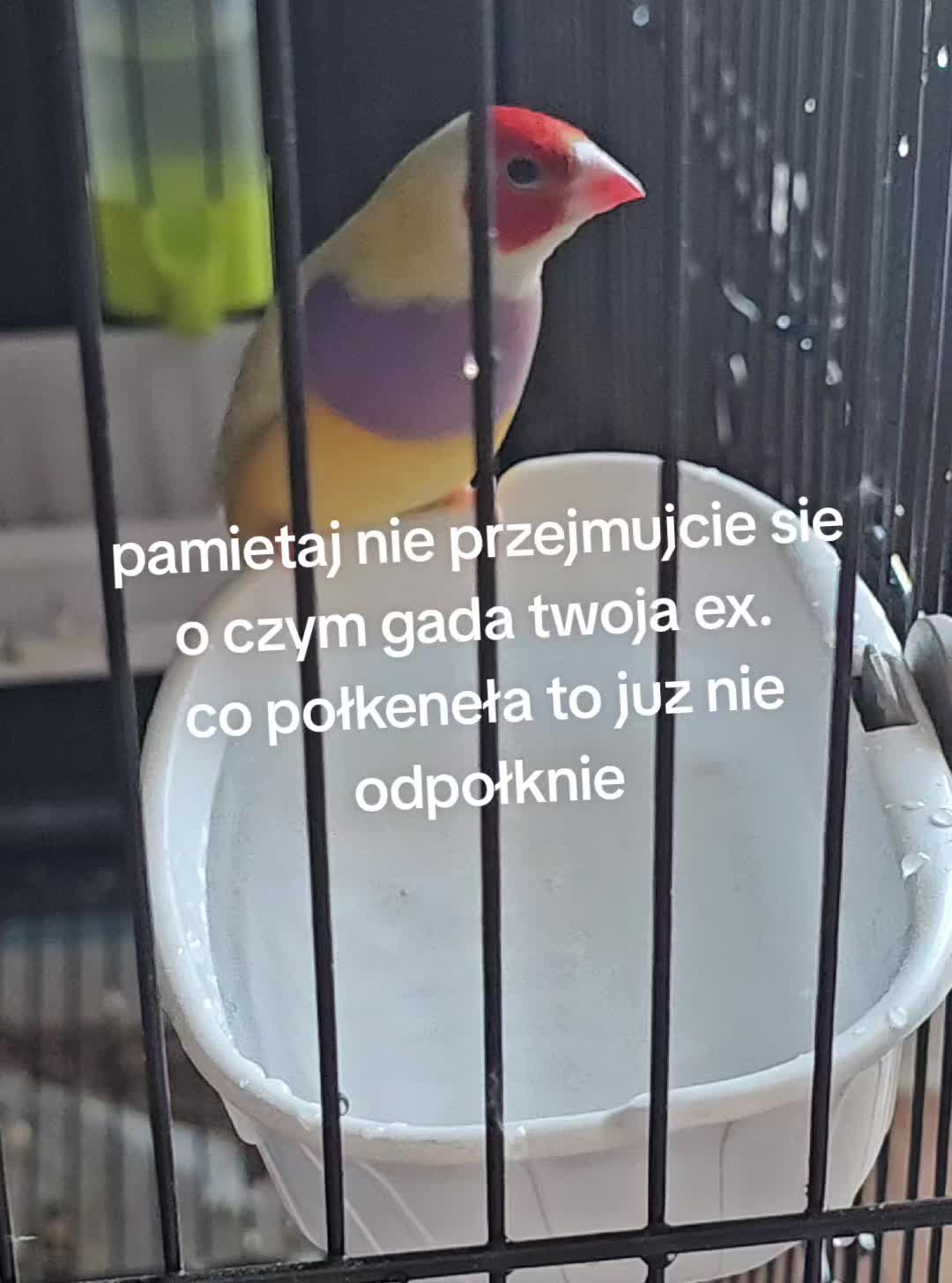 @36_CRIS23