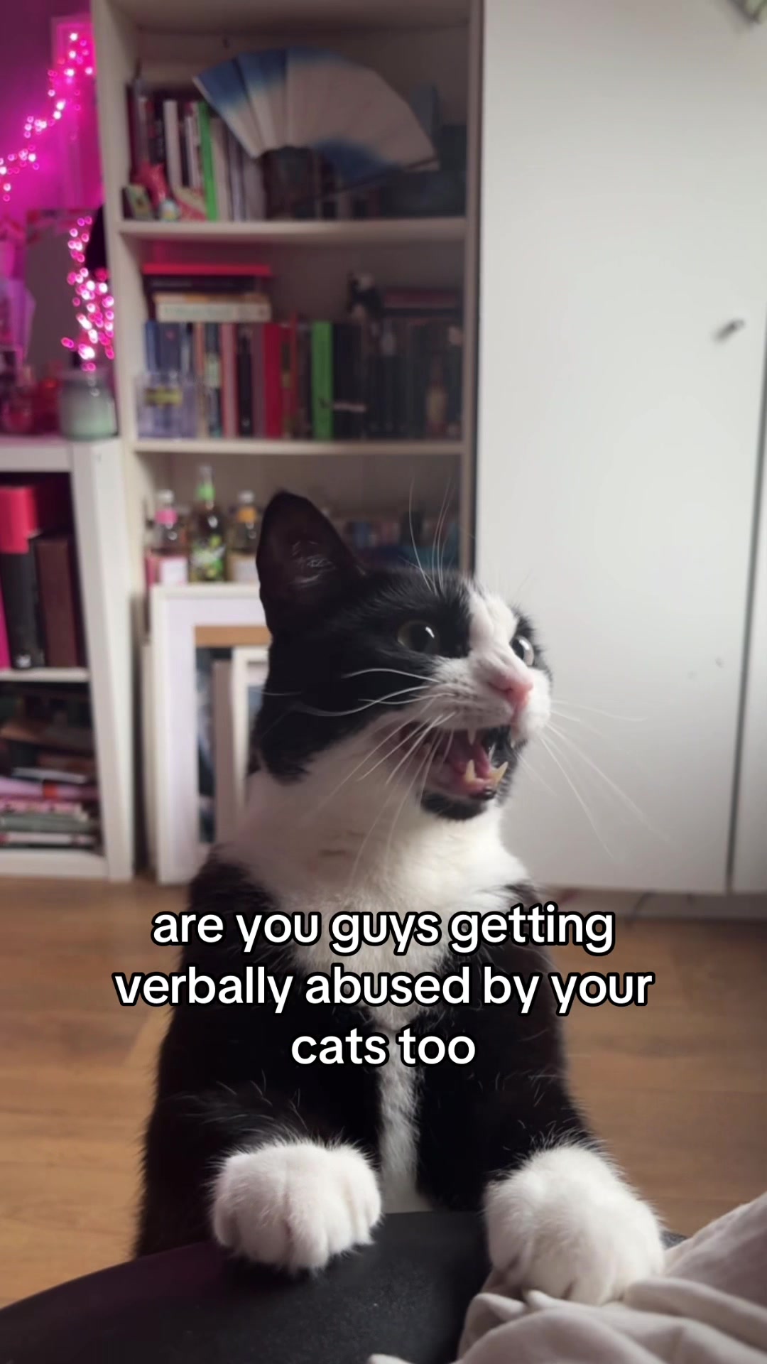 @fianna
