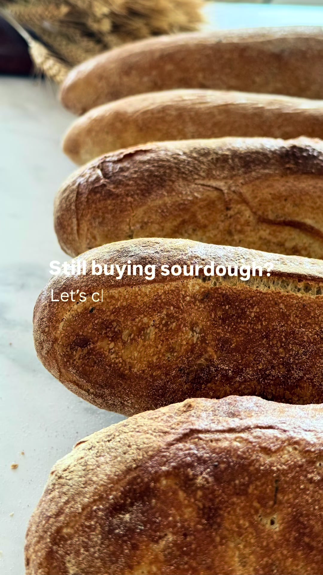@Sourdough Wonders