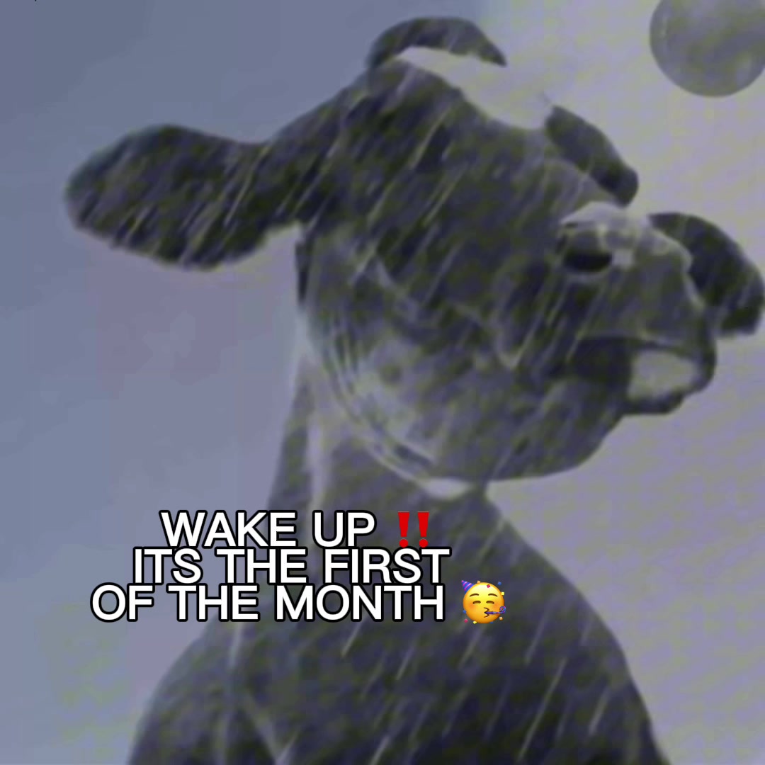 @DB16_13