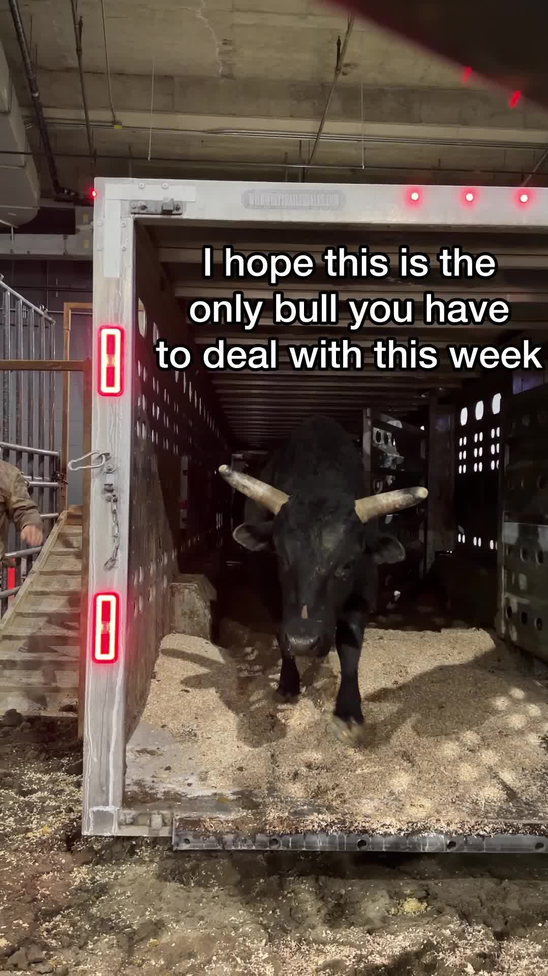 @CinchWorldsToughestRodeo