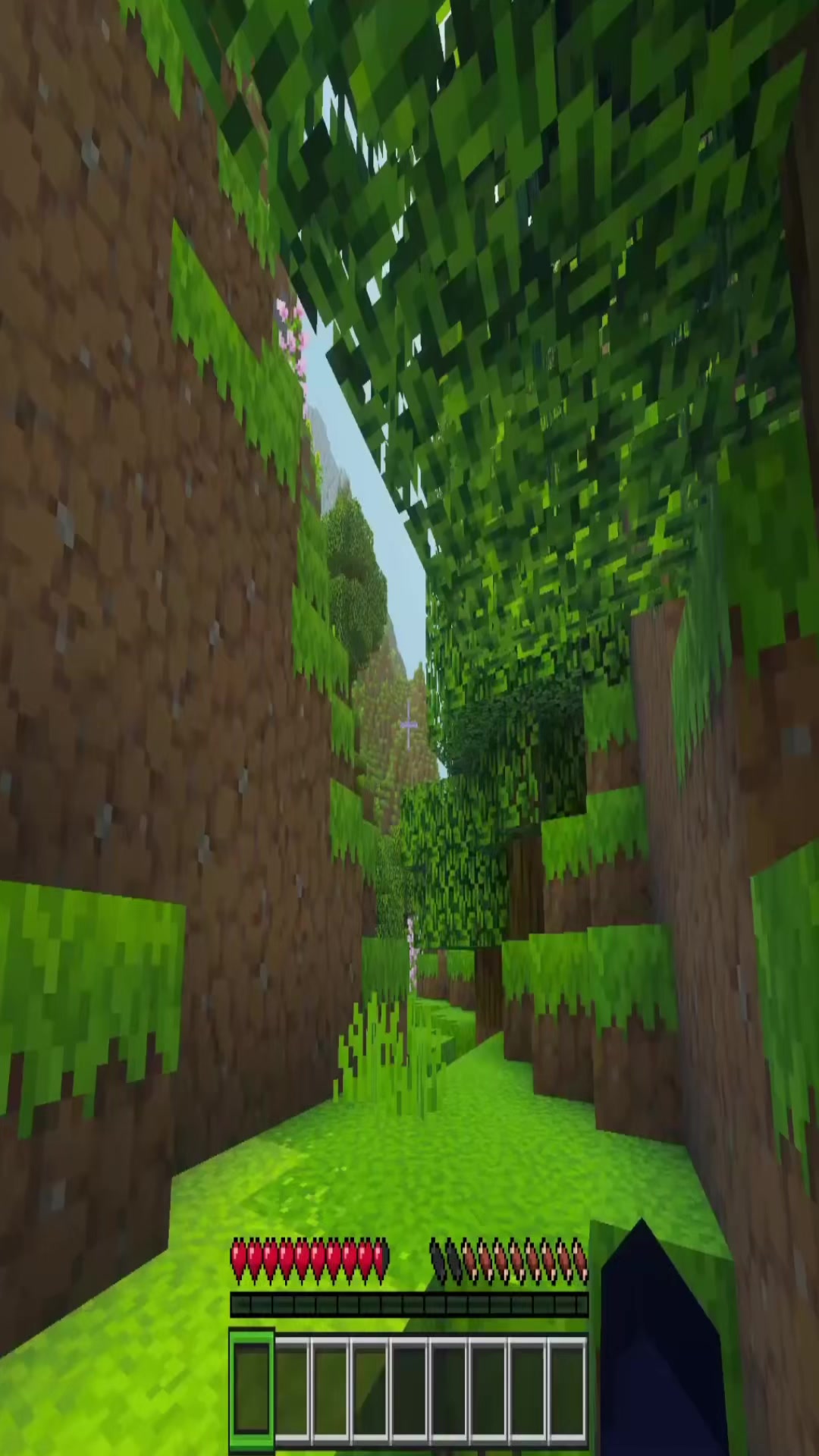 @TheEnderMan