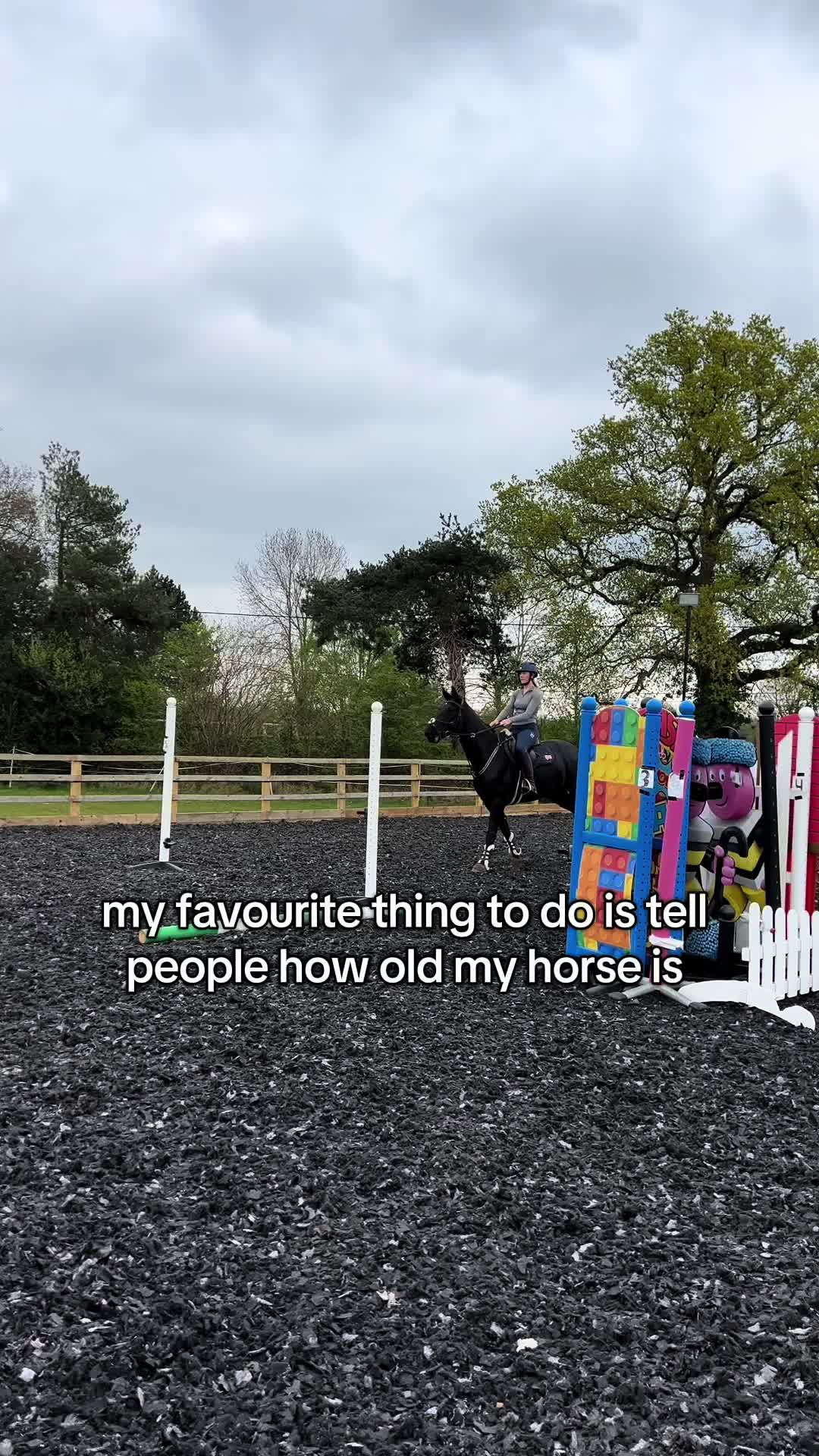 @Lilly & Bruno 🐴
