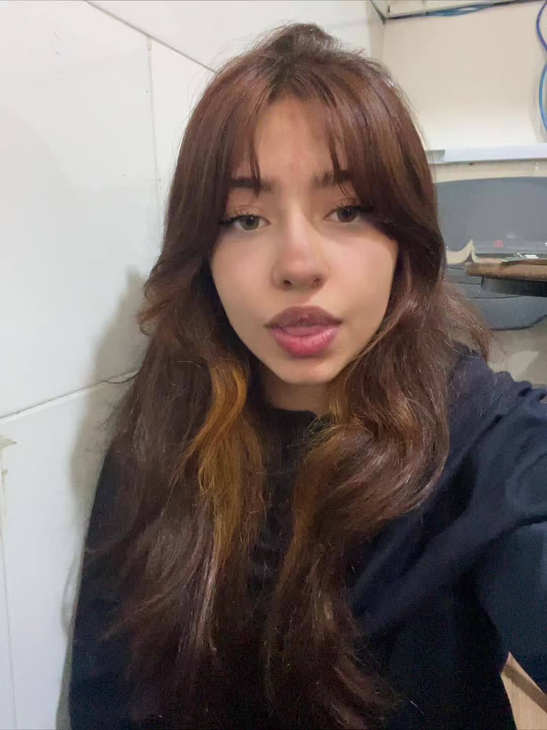 @aylar