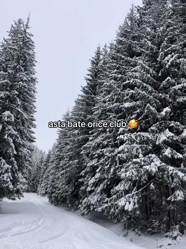 @𝓣 🇹🇩