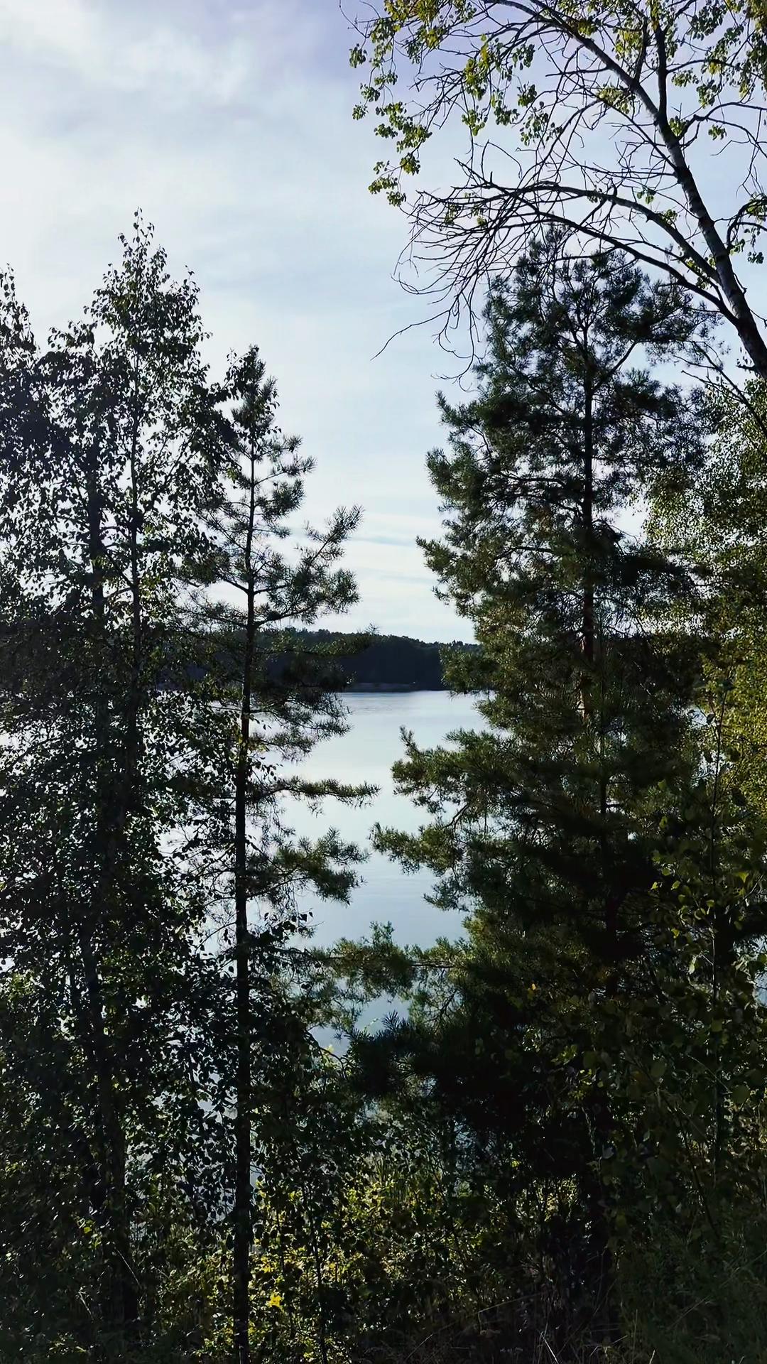 @Лиза Полякова