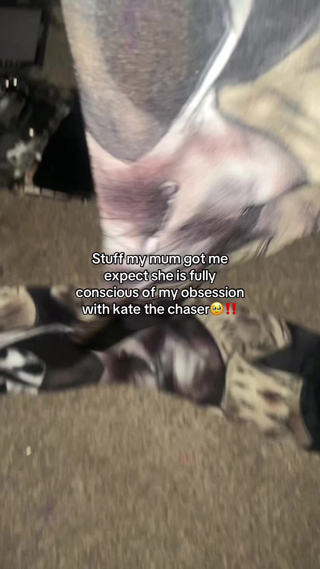 @⦻ α¢є 🪓