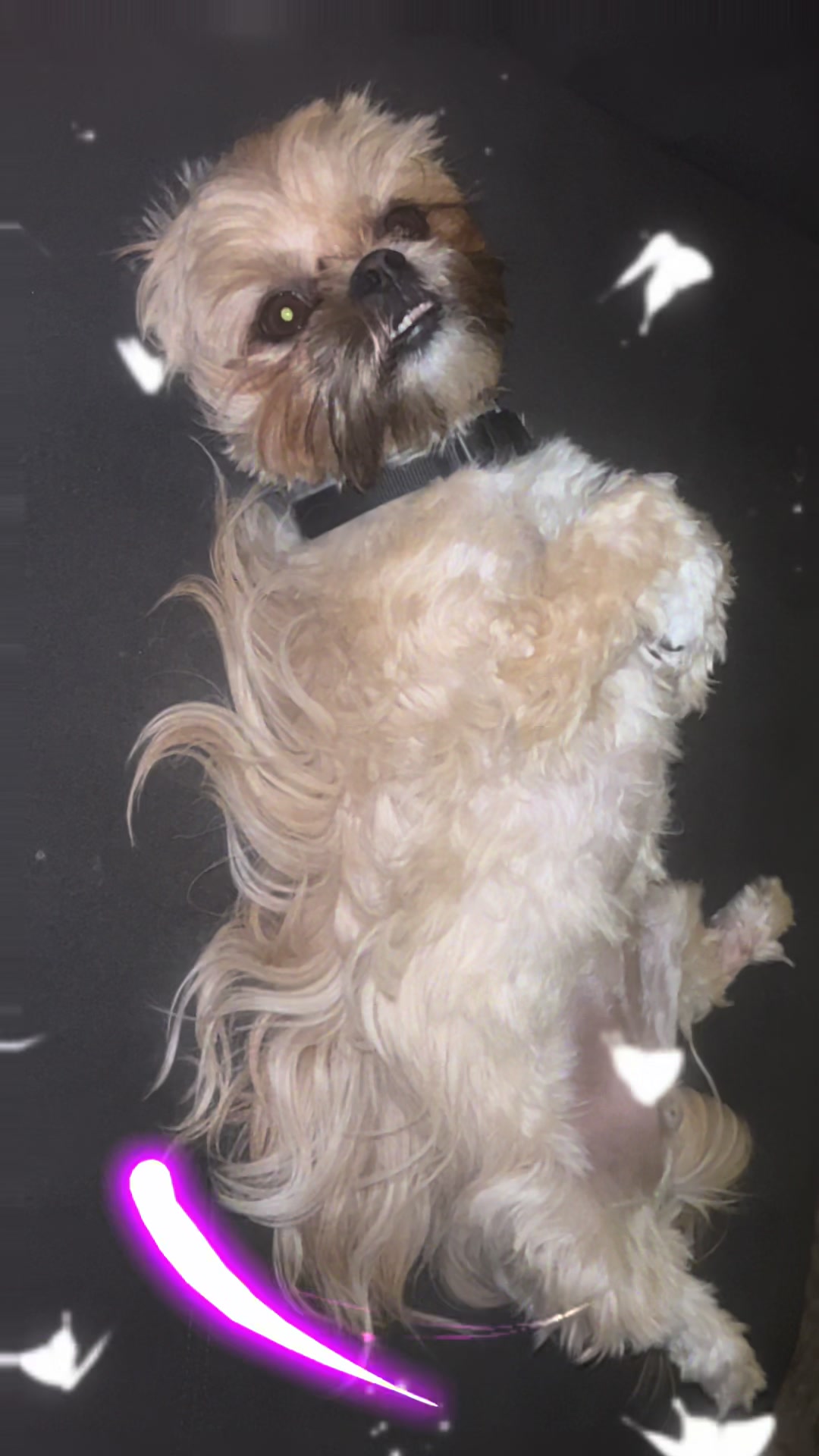 @Duuuviethedog