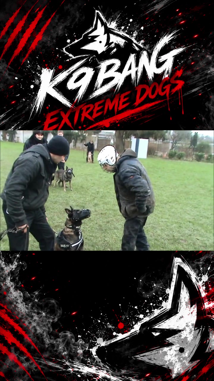 @K9 BANG