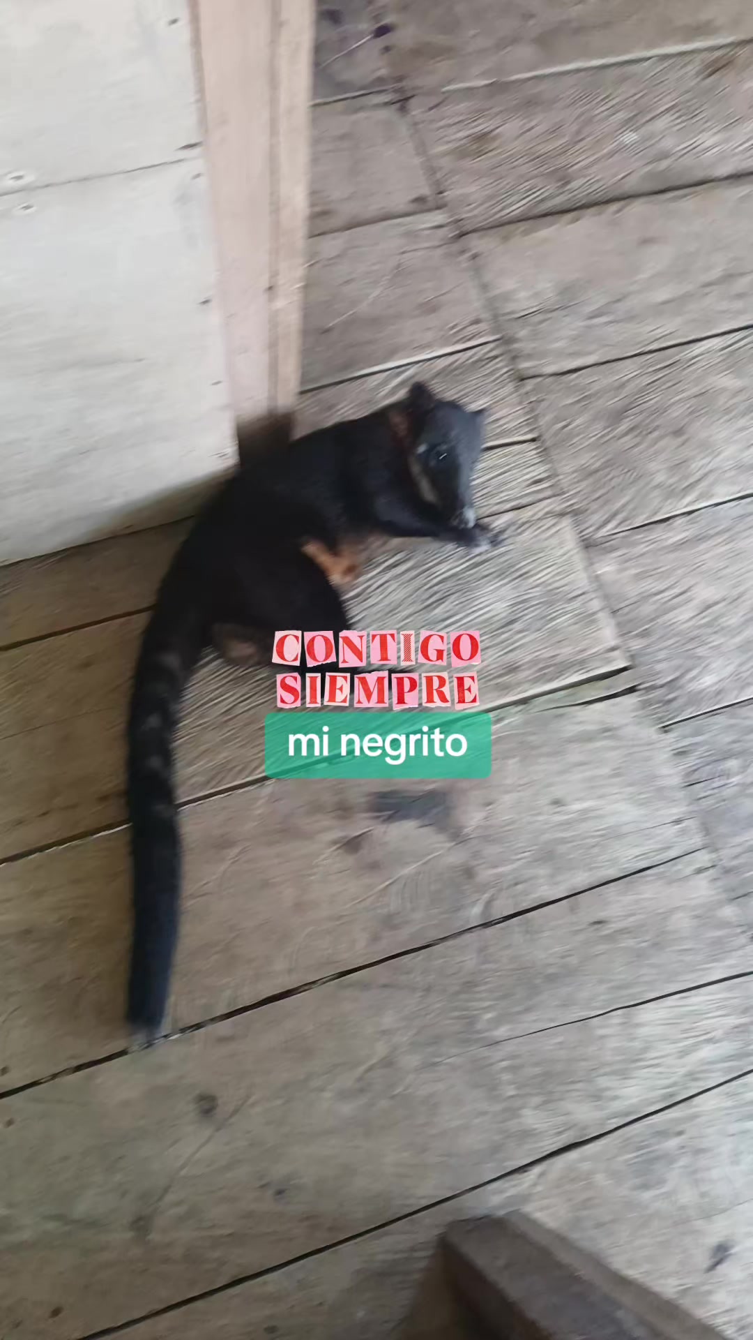 @karen 1992 🇵🇪💯❤️