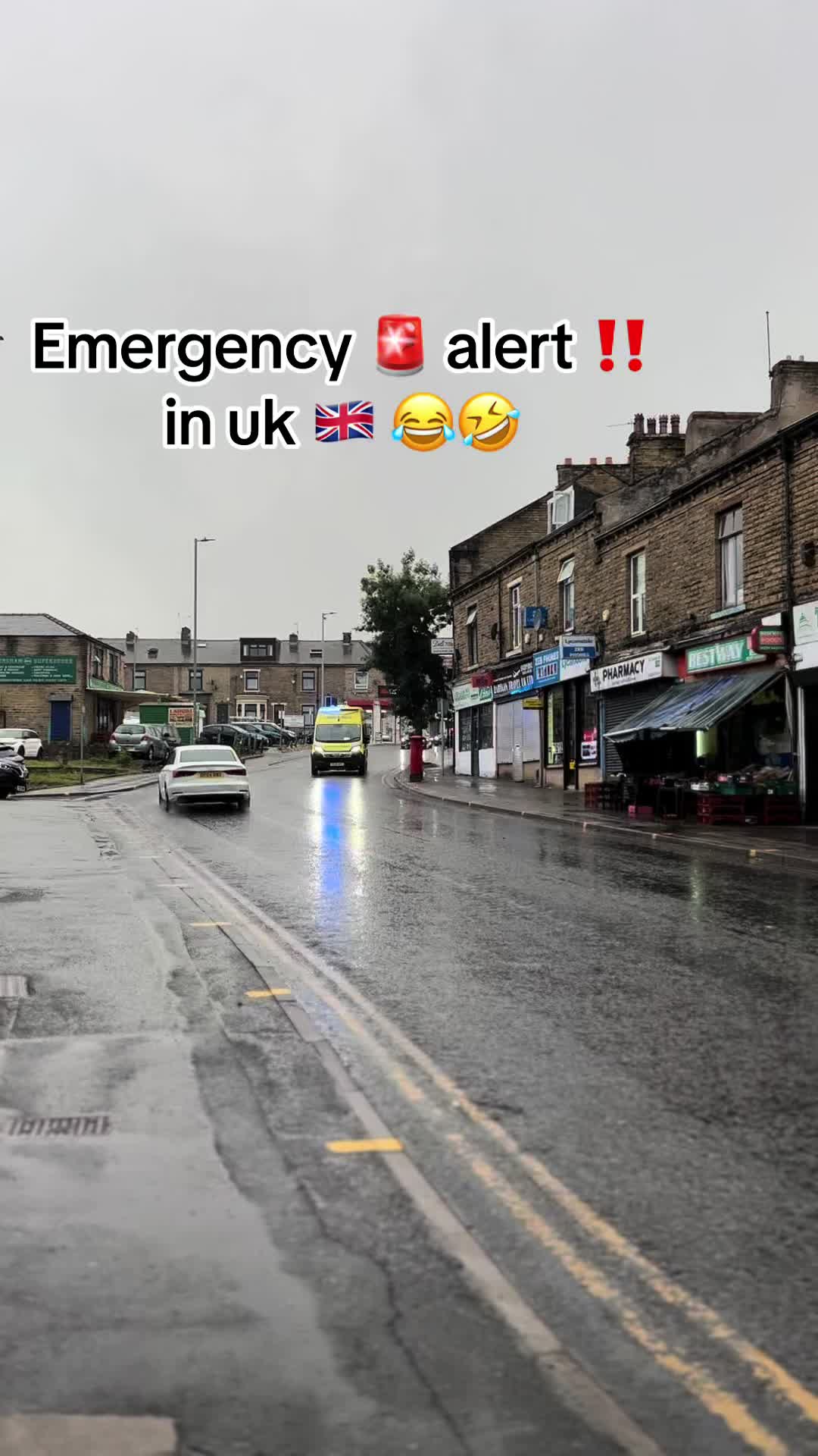 @حمیرا حمزہ🇵🇰🇬🇧