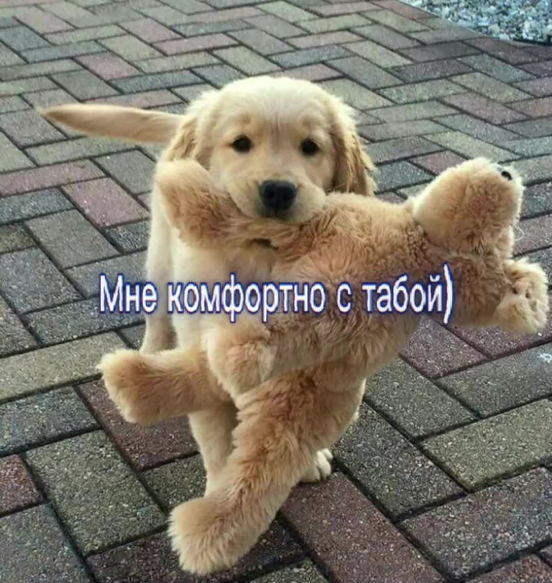 @Я люблю Машулю