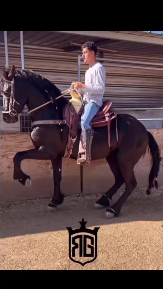 @yahirtorres6781