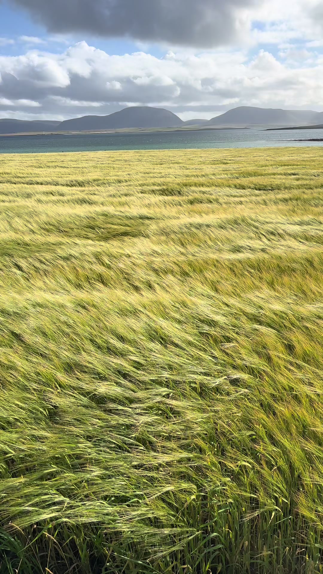 @Orkney Uncovered
