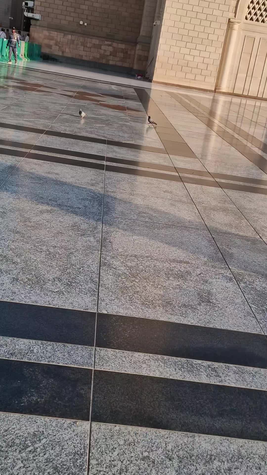 @Mohammad Ramzan