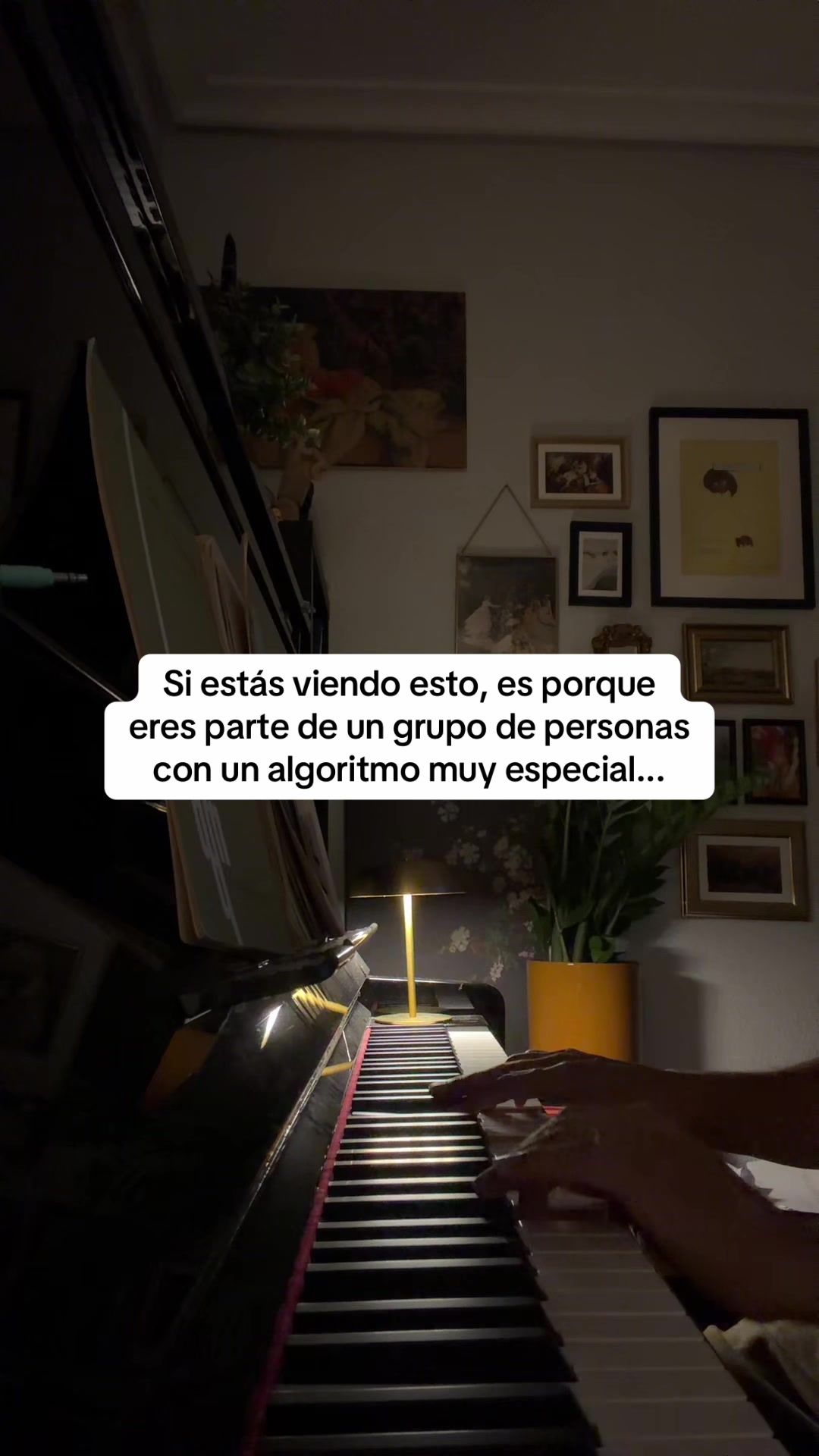 @constantini_music