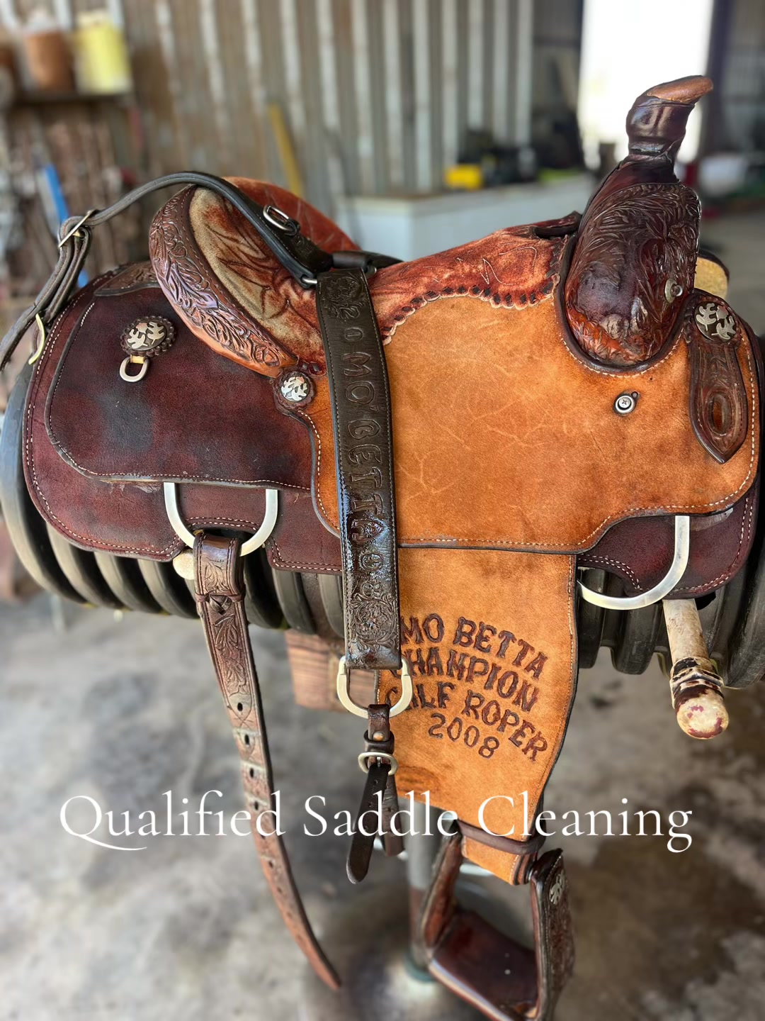 @Qualified Saddle Cleaning