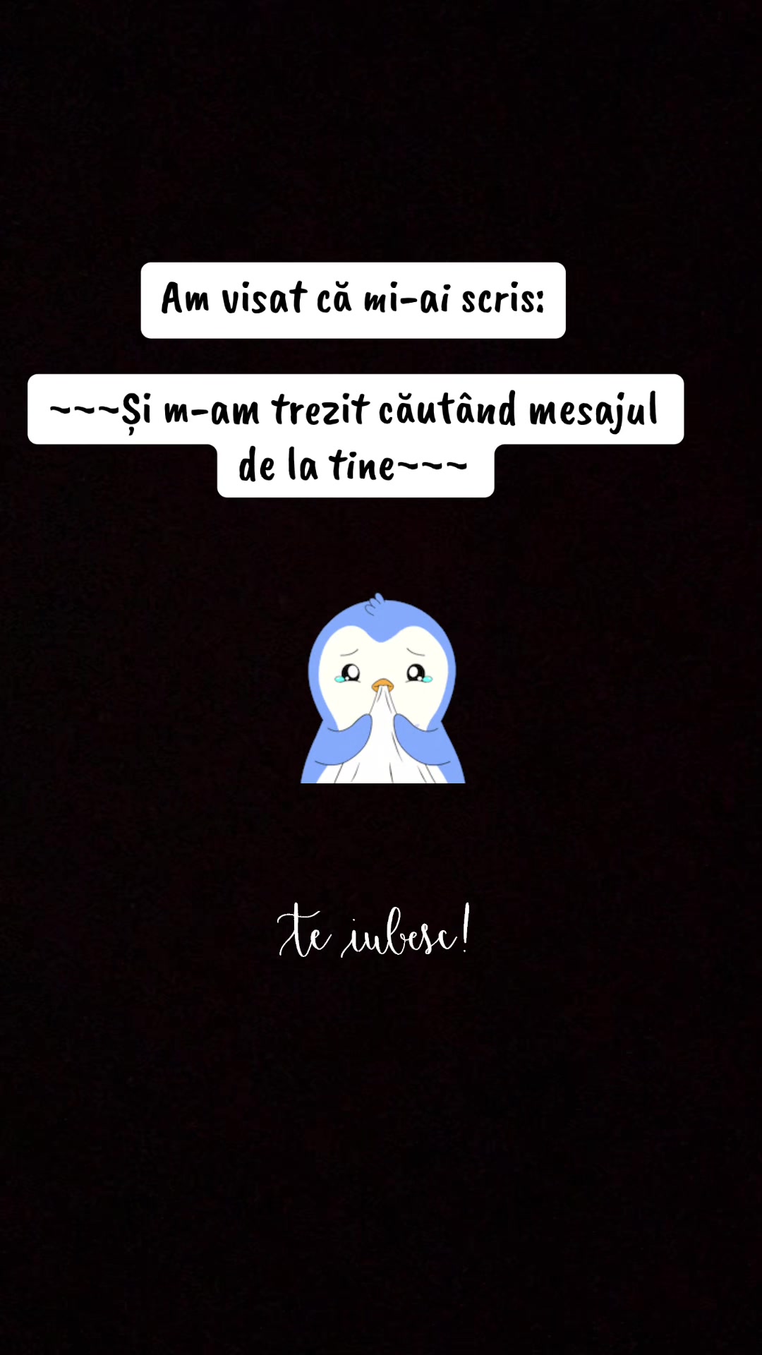 @&ldquo;citate&rdquo; 🫶