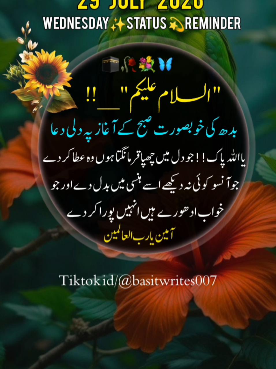 @basitwrites007