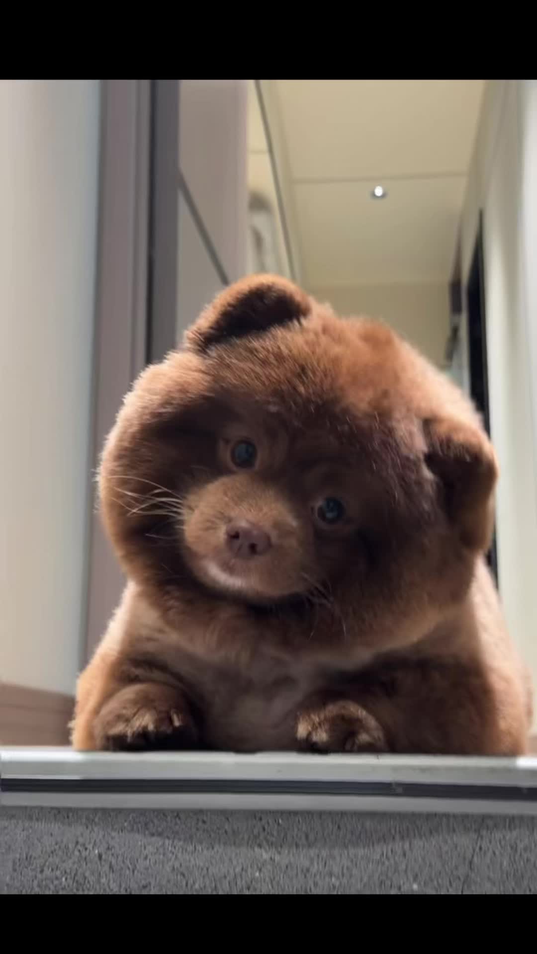 @My Daily Dose of Aww