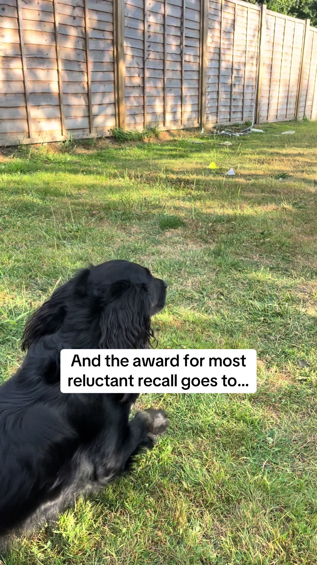 @Corrina | Parker & Mila 🐾 ⭐️