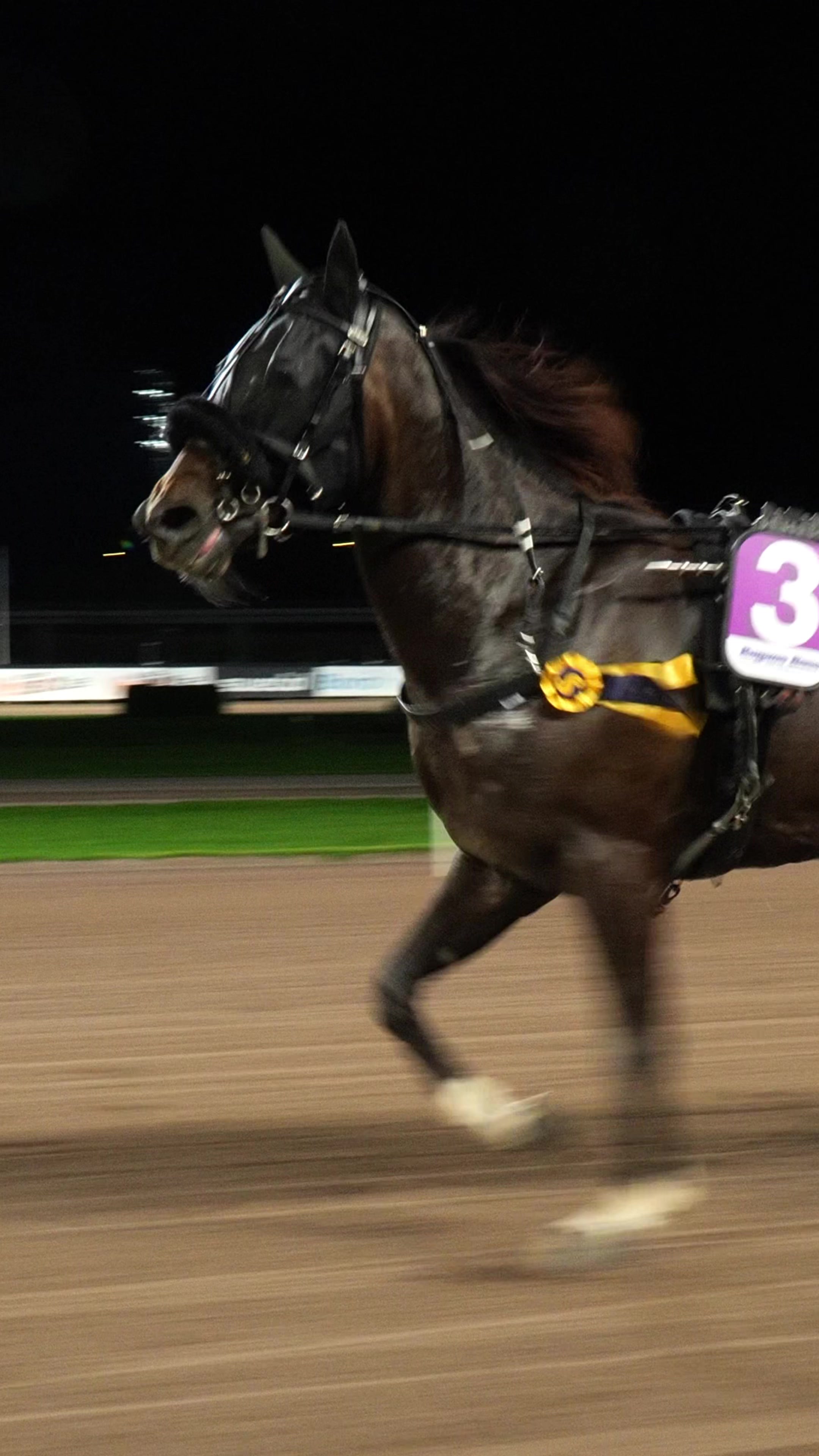 @Solvalla