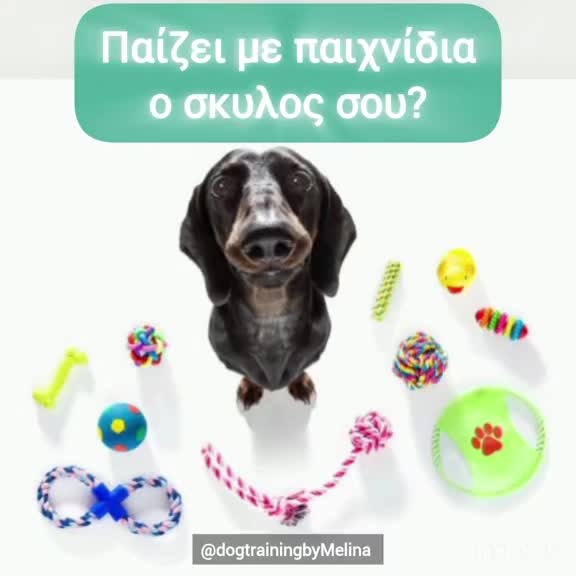 @dogtrainingbymelina