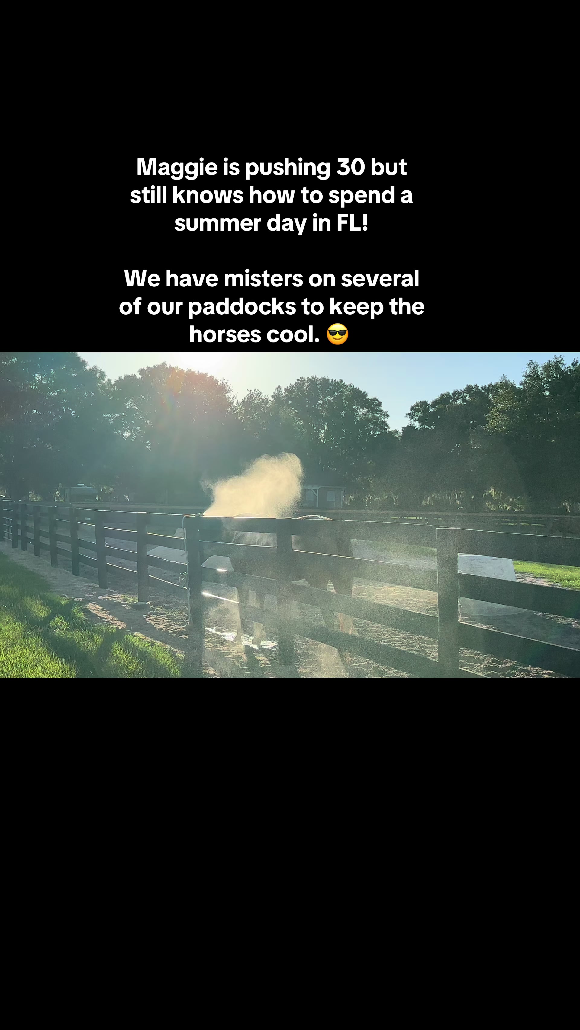 @Ashley at Rivermont Farm🐎🐶