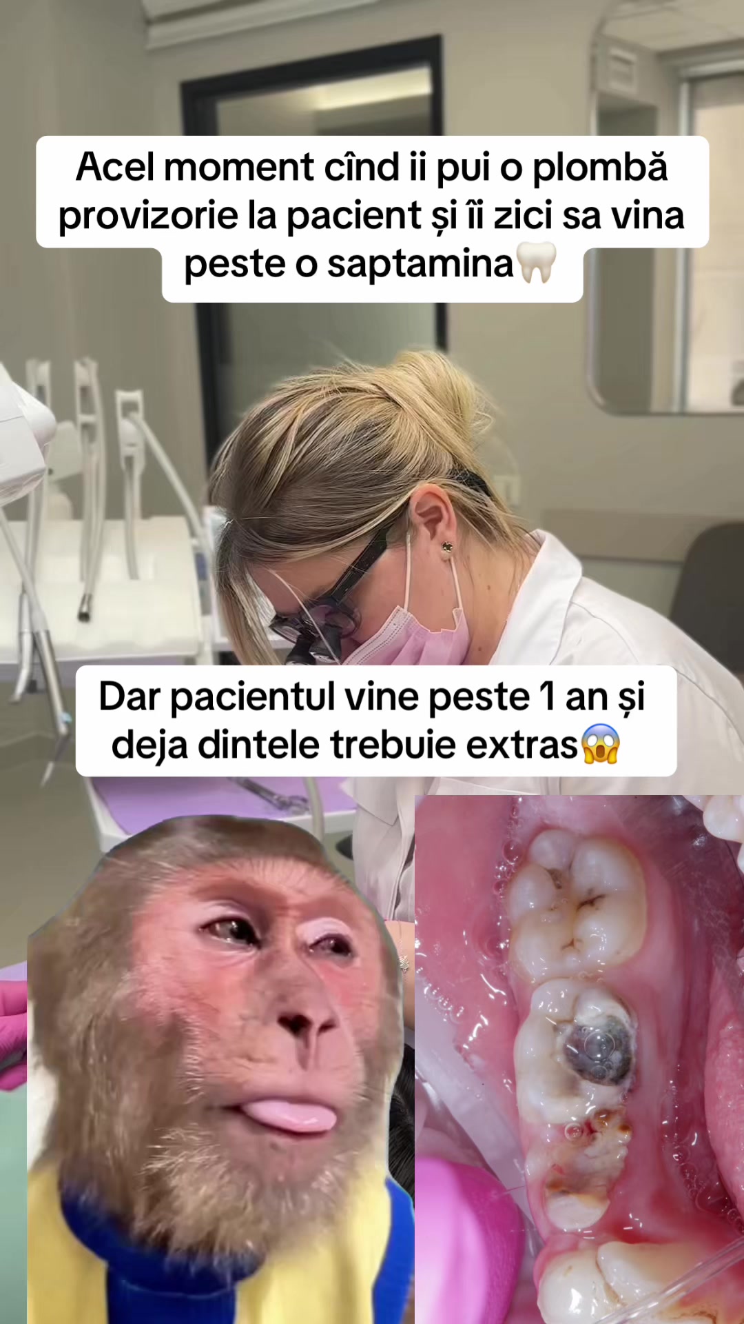 @Stomatolog Snejana Carabulea🦷