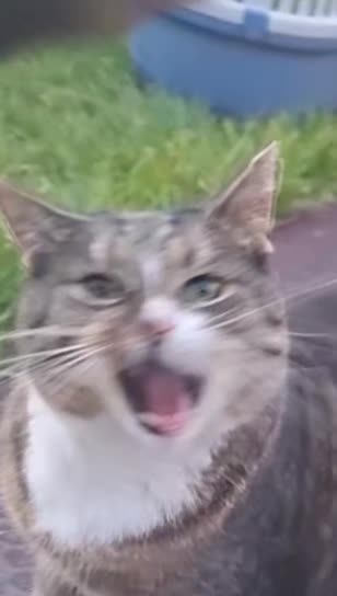 @pether