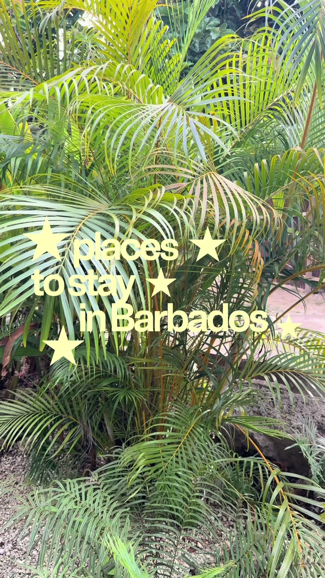 @BIG EATWITHEBS 🌱