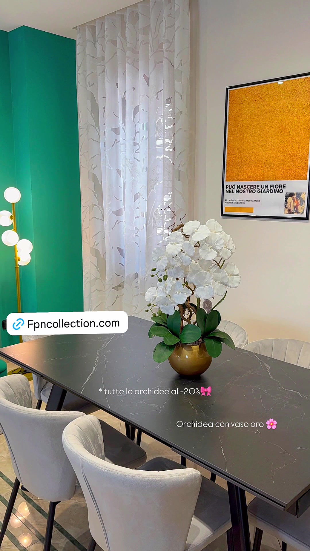 @FPNCOLLECTION