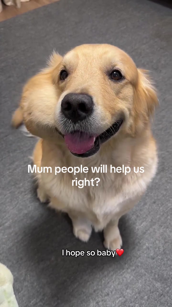 @savebabyalice