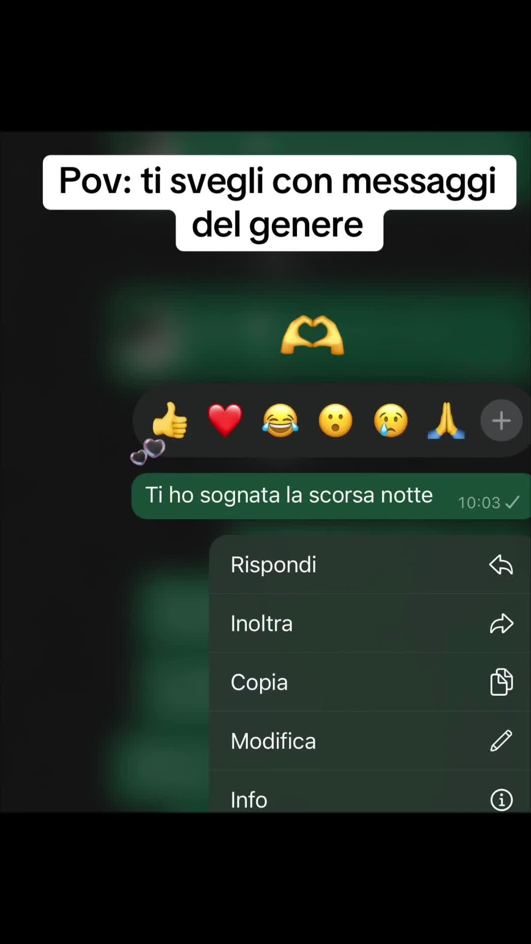 @Luna Viola
