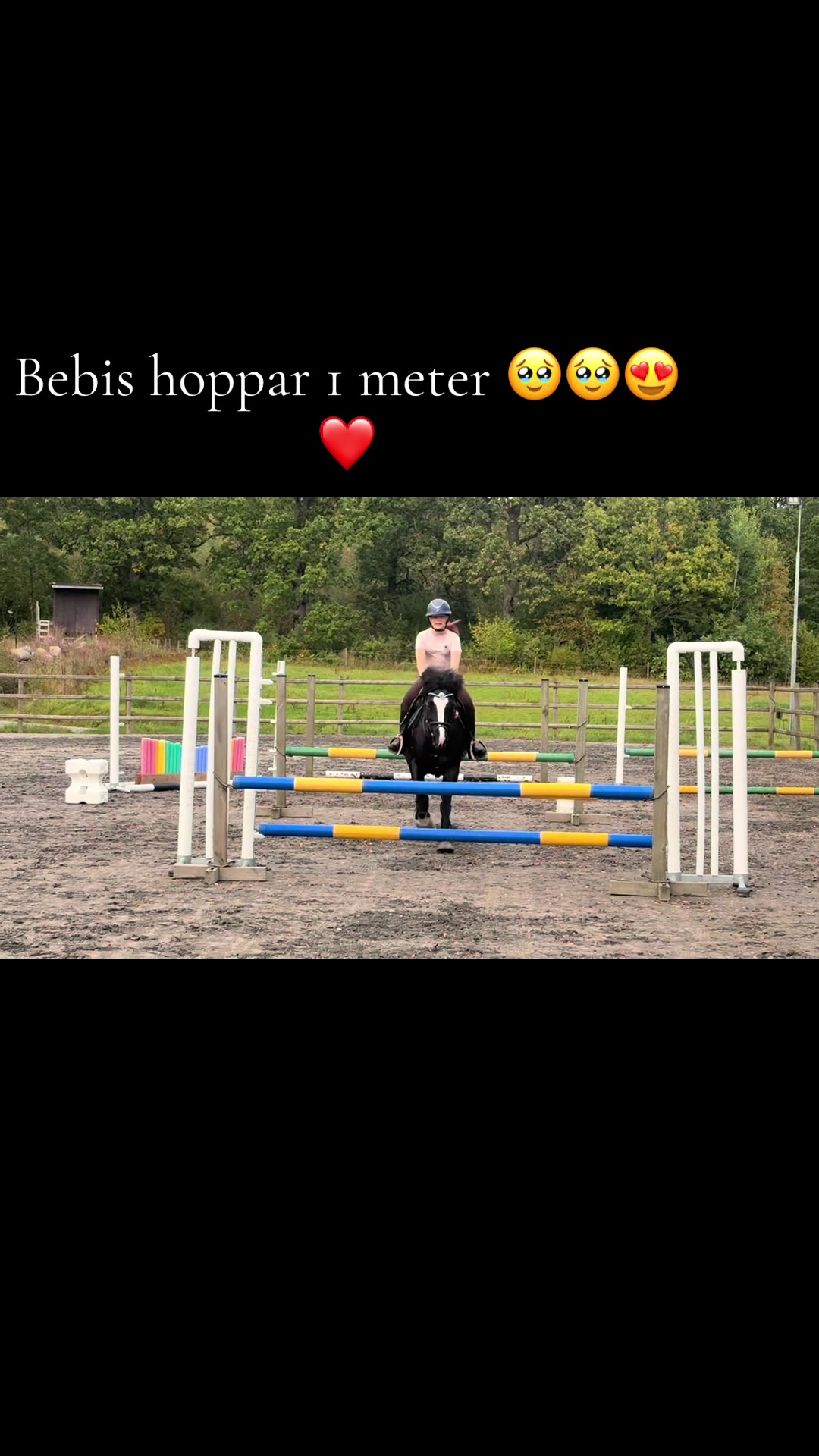@🇸🇪🦄𝓔𝓵𝓲𝓷 𝓔𝓭𝓺𝓿𝓲𝓼𝓽