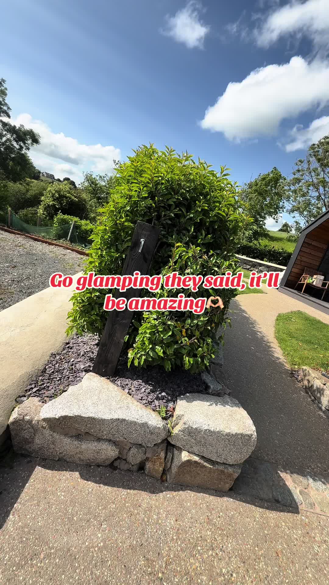 @Pamela Connolly 🦋🦋