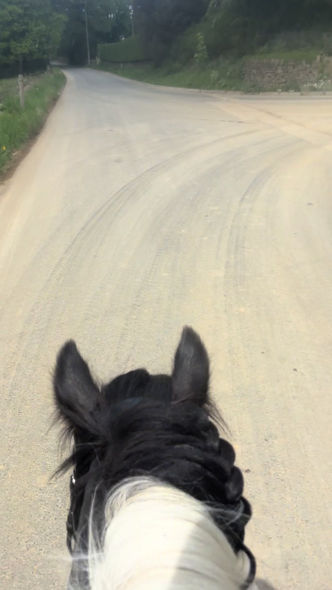 @diamondponyparties