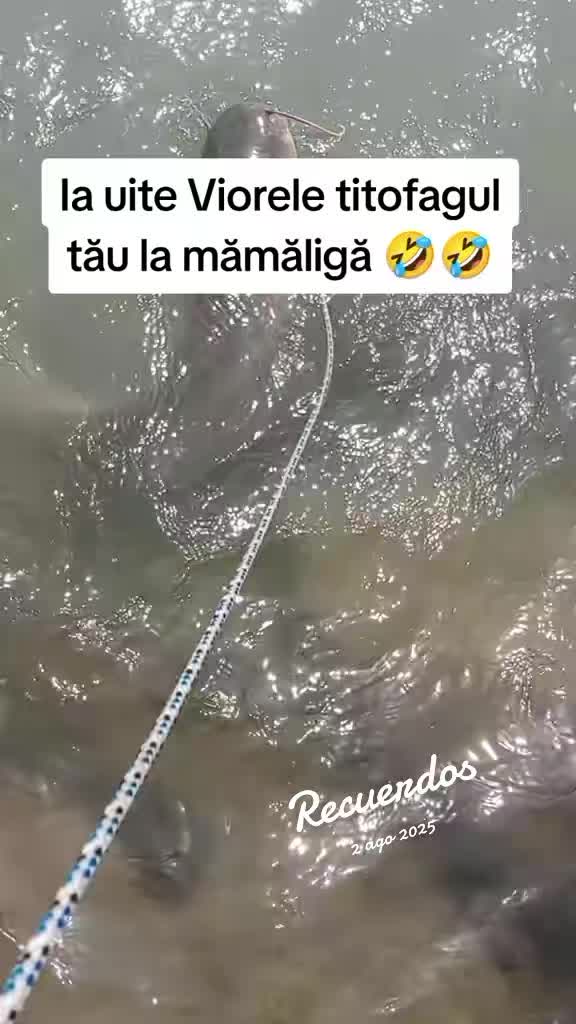 @🦚Octavian 🦚😎😉