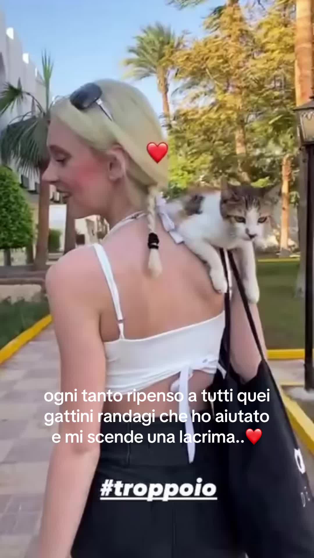 @xnonsononessunox